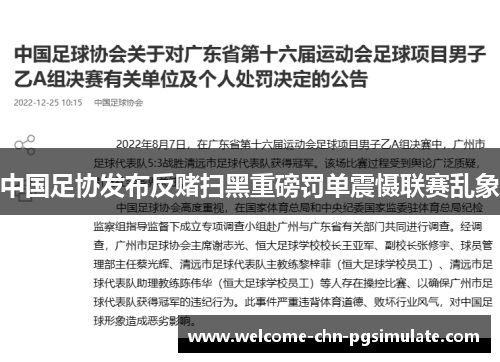 中国足协发布反赌扫黑重磅罚单震慑联赛乱象