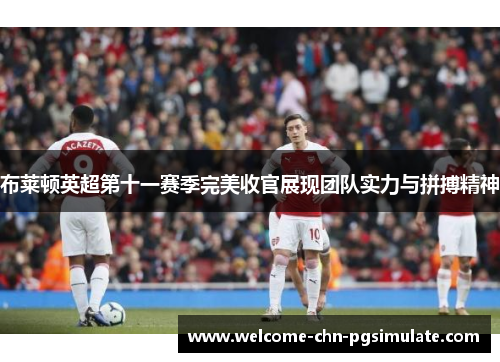 布莱顿英超第十一赛季完美收官展现团队实力与拼搏精神