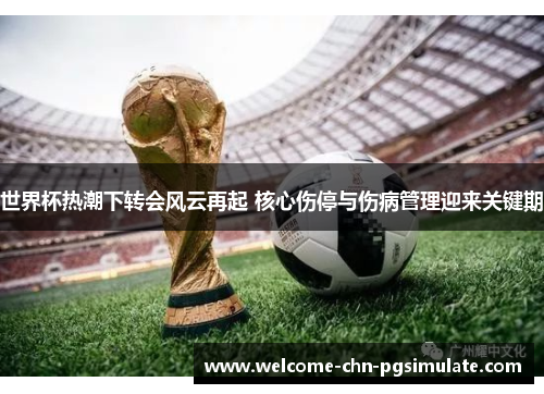 世界杯热潮下转会风云再起 核心伤停与伤病管理迎来关键期