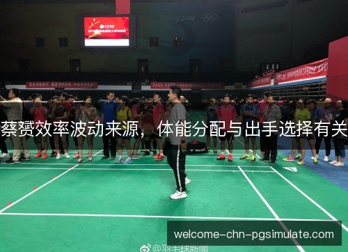 蔡赟效率波动来源，体能分配与出手选择有关