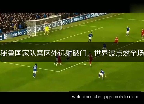秘鲁国家队禁区外远射破门，世界波点燃全场