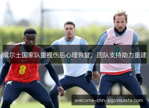 威尔士国家队重视伤后心理恢复，团队支持助力重建
